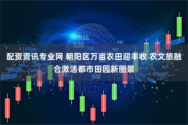 配资资讯专业网 朝阳区万亩农田迎丰收 农文旅融合激活都市田园新图景