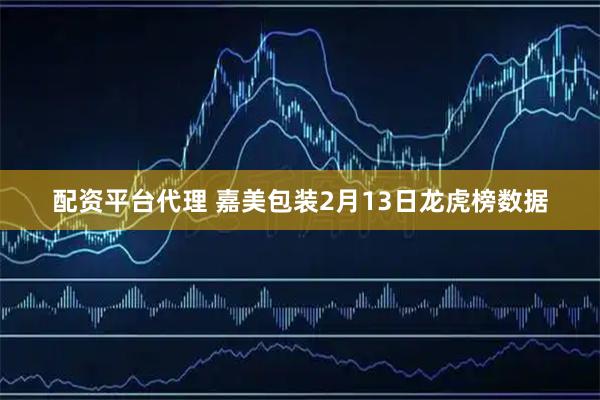 配资平台代理 嘉美包装2月13日龙虎榜数据