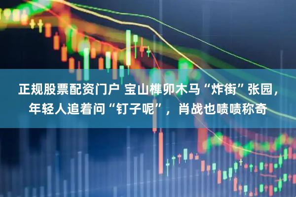 正规股票配资门户 宝山榫卯木马“炸街”张园，年轻人追着问“钉子呢”，肖战也啧啧称奇