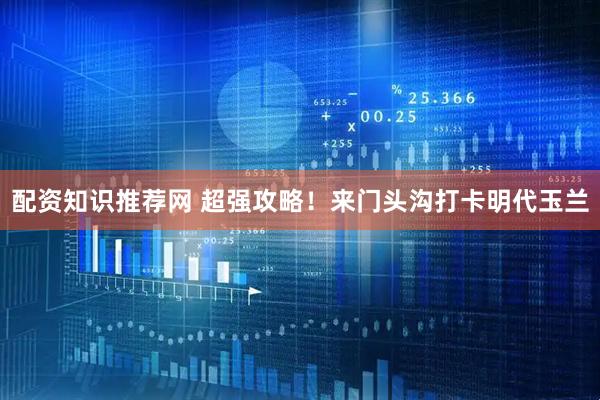 配资知识推荐网 超强攻略！来门头沟打卡明代玉兰