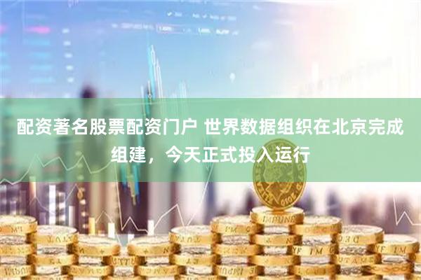 配资著名股票配资门户 世界数据组织在北京完成组建，今天正式投入运行
